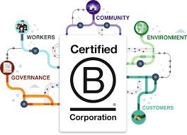 Certified B Corps assess their business impacts on 5 categories: Governance, Workers, Community, Environment, and Customers